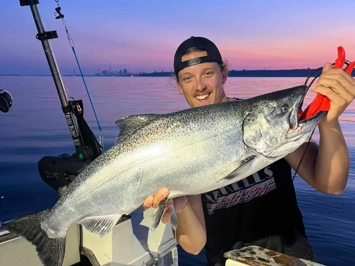 Captain Devin Winstanley holding a chinook salmon at sunset, the Toronto skyline behind him